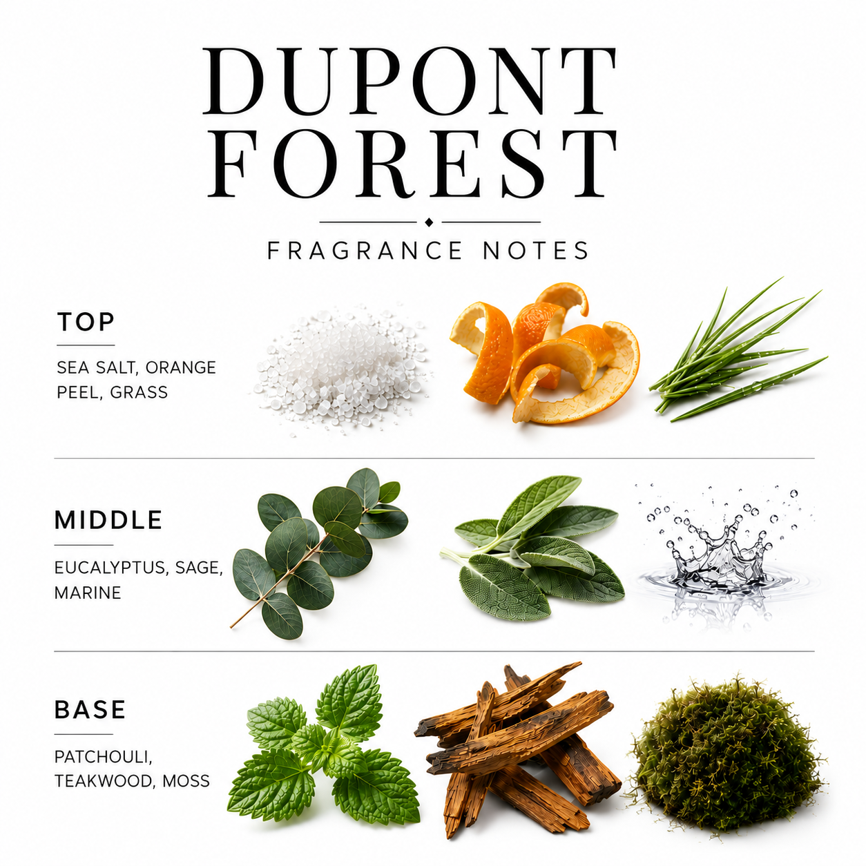 DuPont Forest | 4-Wick Dough Bowl Candle