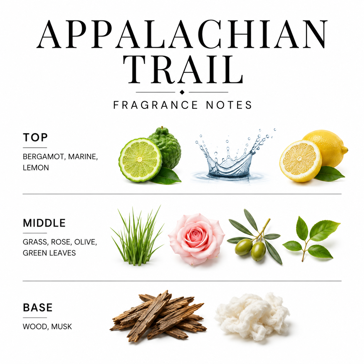 Appalachian Trail | 4-Wick Dough Bowl Candle