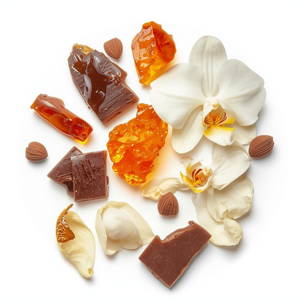 Chocolate Amber | 8oz Soothing Butter Lotion