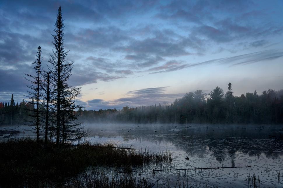 Misty lake at dawn with trees and clouds in the sky